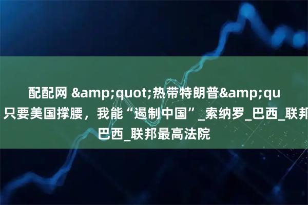 配配网 "热带特朗普"吹嘘：只要美国撑腰，我能“遏制中国”_索纳罗_巴西_联邦最高法院