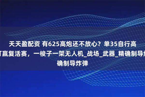 天天盈配资 有625高炮还不放心？单35自行高炮打赢复活赛，一梭子一架无人机_战场_武器_精确制导炸弹