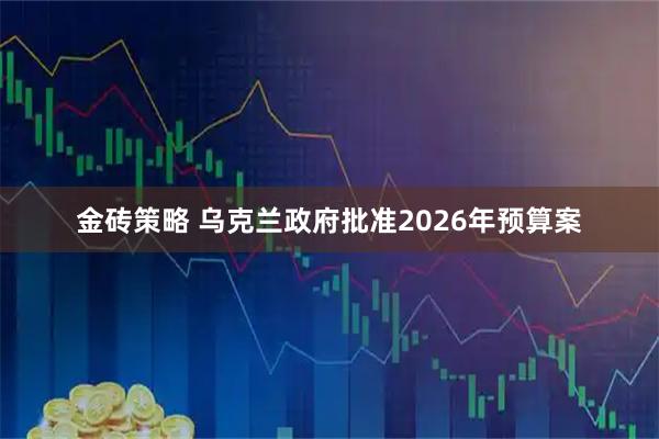 金砖策略 乌克兰政府批准2026年预算案